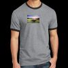 Core Cotton Ringer Tee Thumbnail